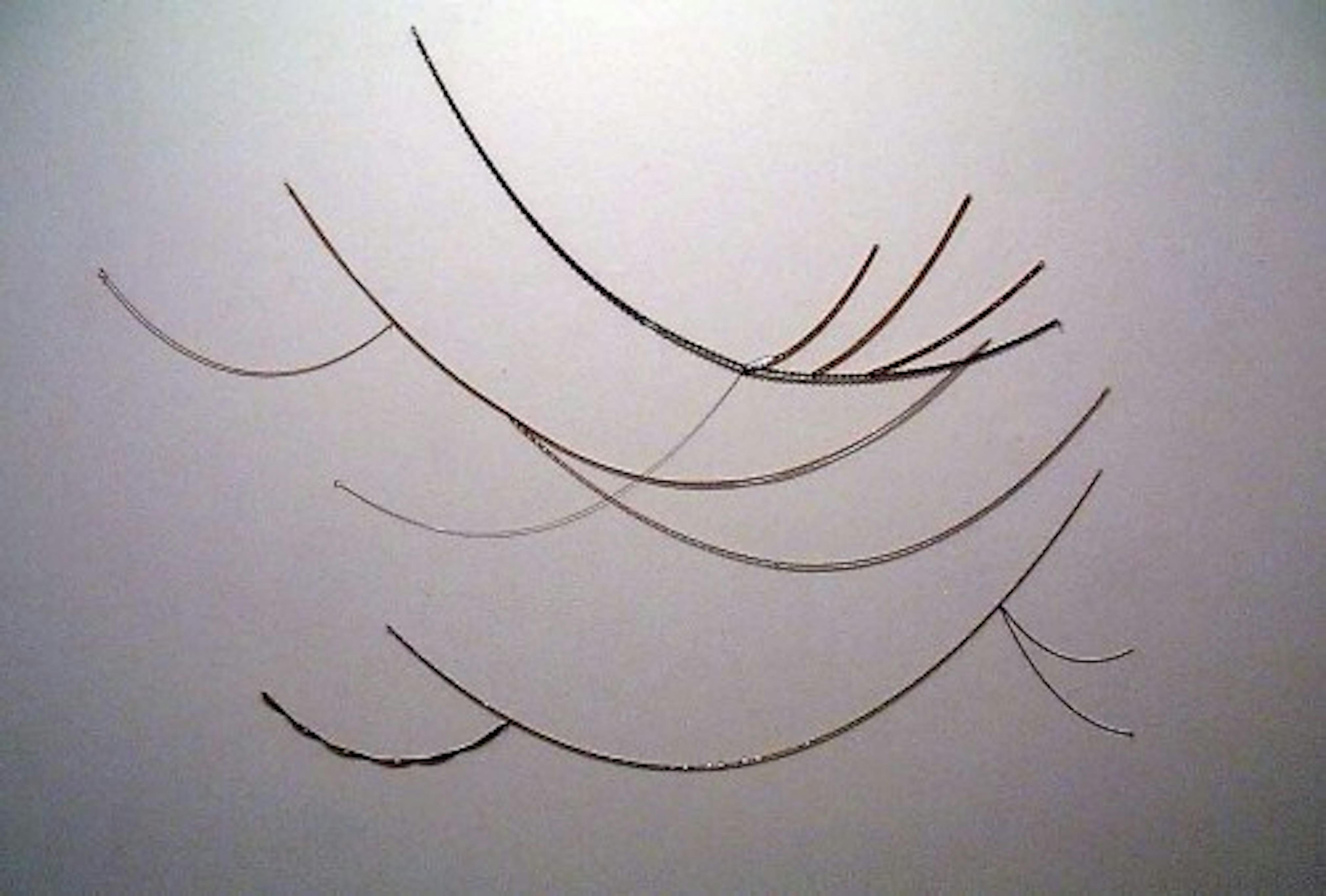 Robert Pruitt
For Whom the Bell Curves, 2004
12 gold chains, 47 x 60 in.
Museum purchase made possible by a gift from Rena Bransten, San Francisco and a Gift from Burt Aaron, New York, 06.14.1