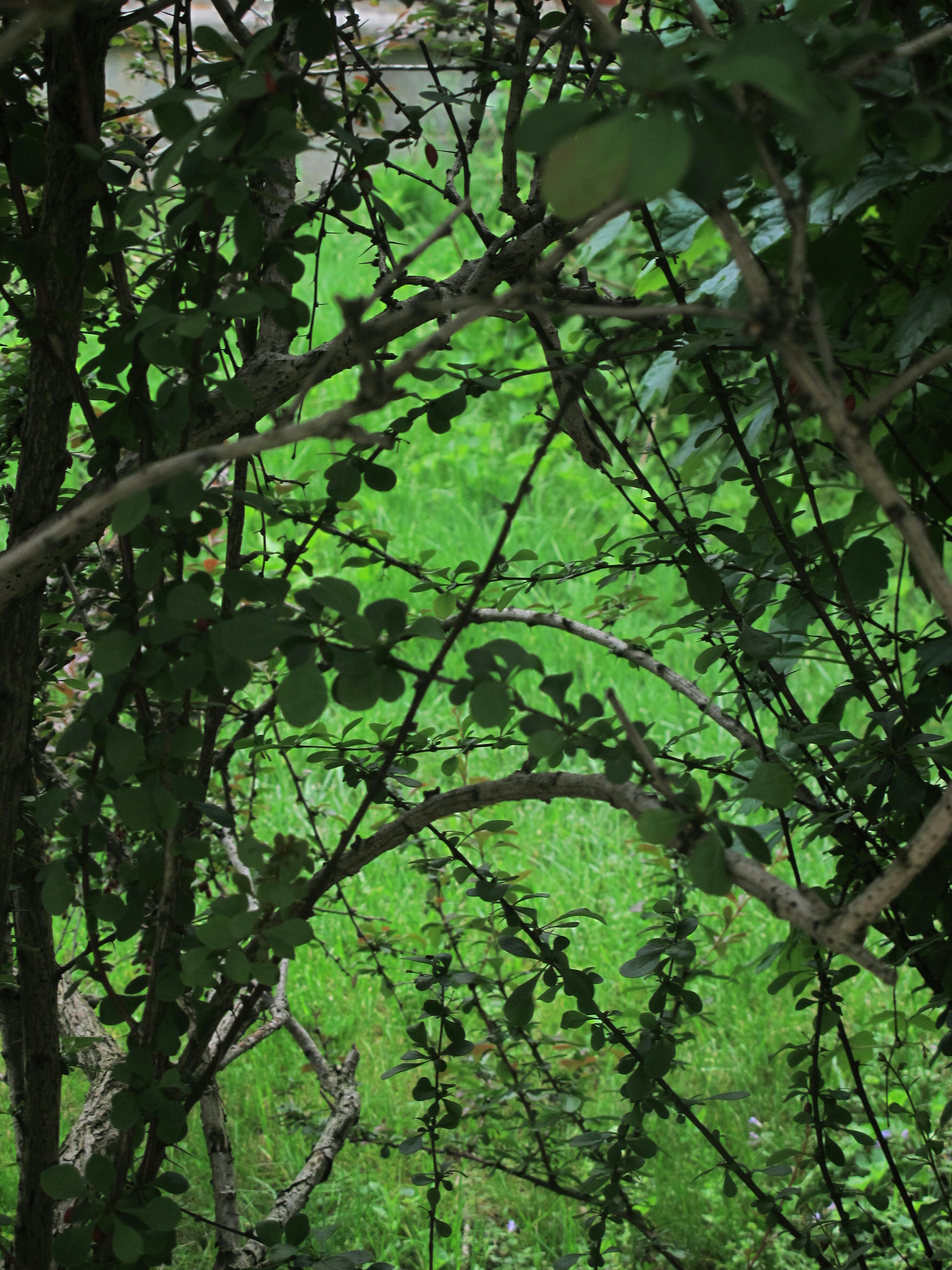 Sim E. Smith
Passage, 2011
Courtesy the artist