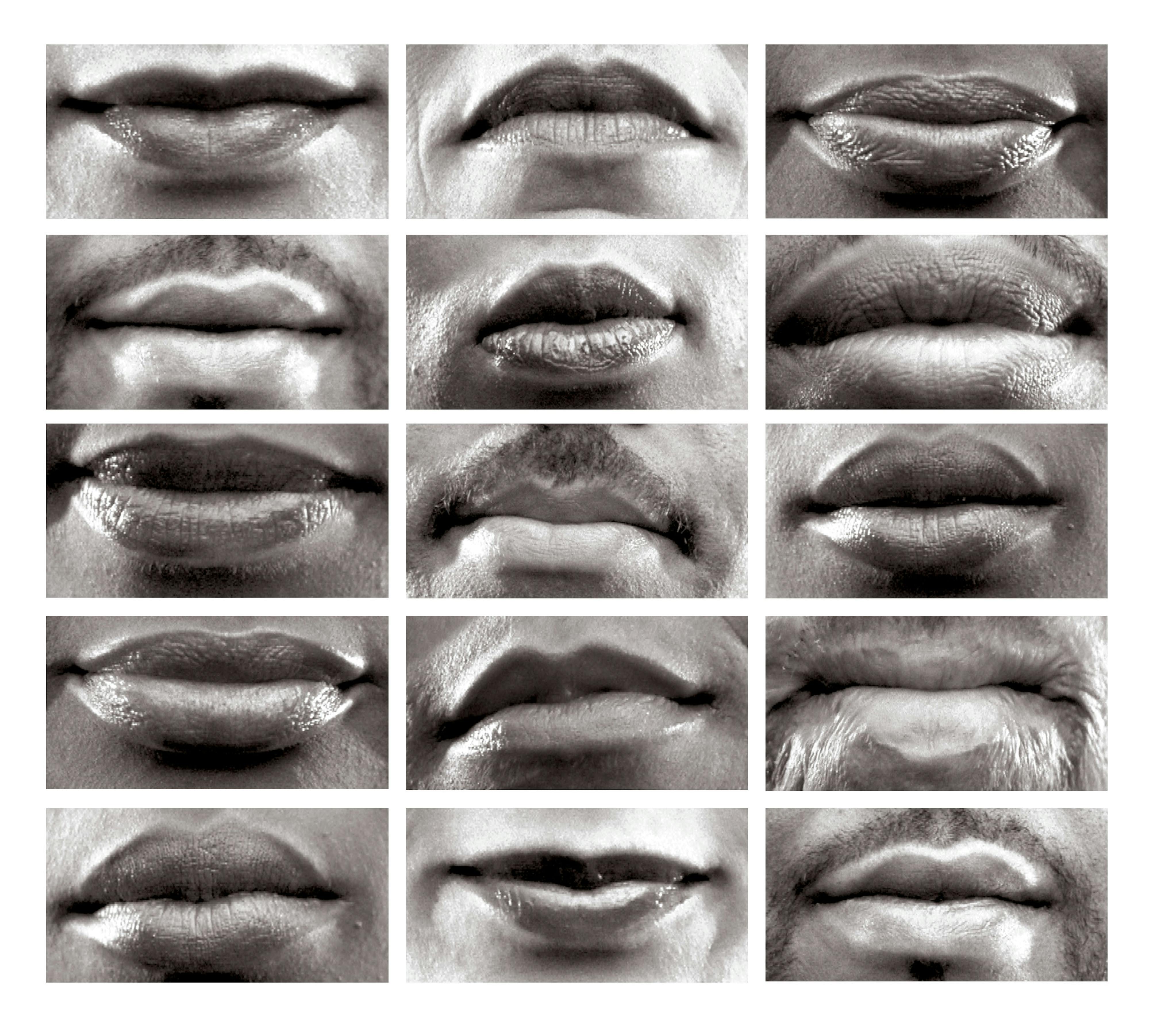Lorna Simpson
	15 Mouths, 2002
	Museum purchase with funds provided by the Acquisition Committee  02.10.9
