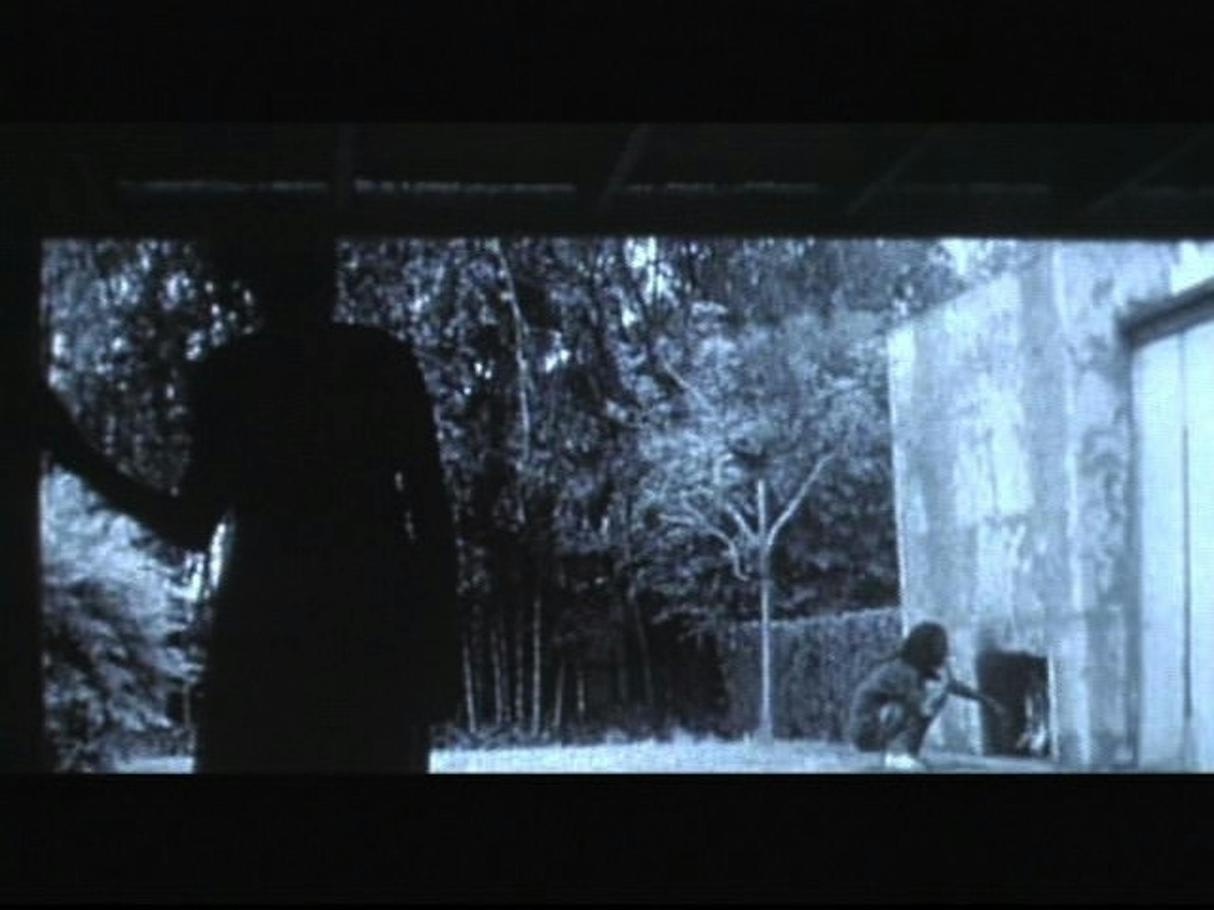 Cauleen Smith
The Changing Same (video still), 2001