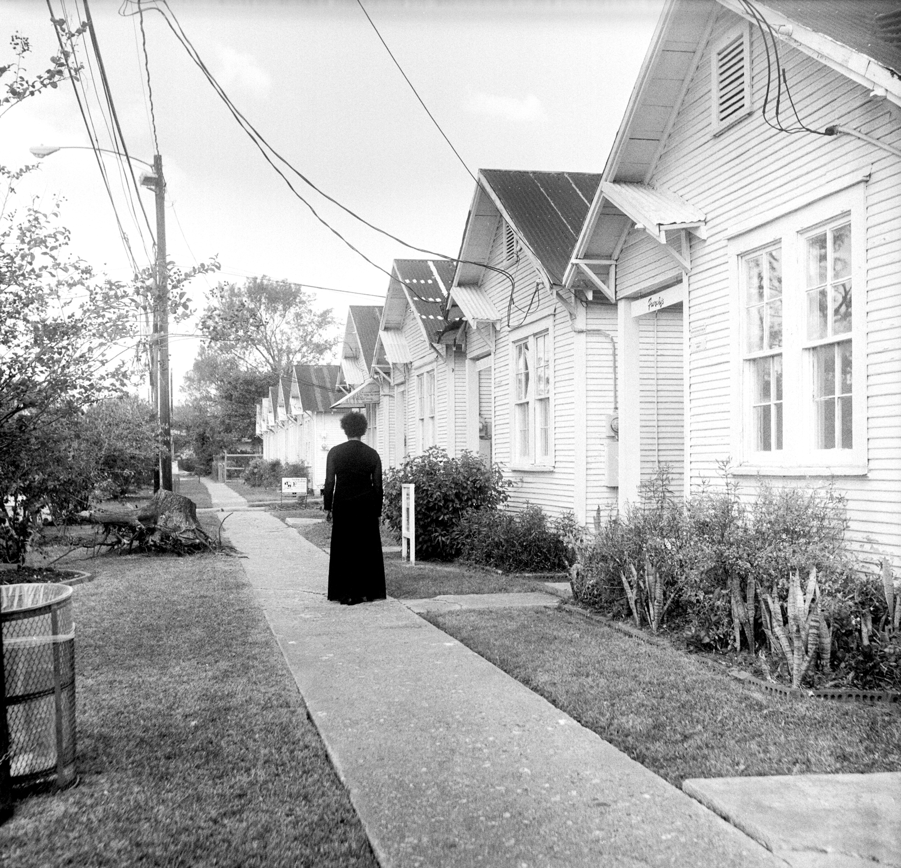 Carrie Mae Weems